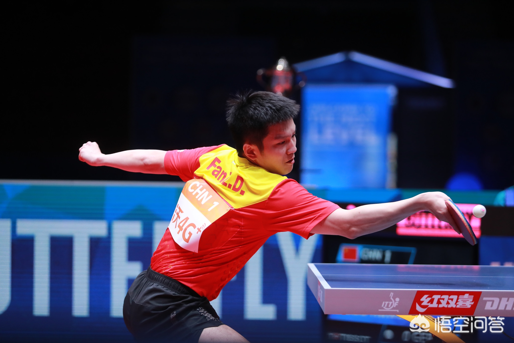 樊振东的出 樊振东的出