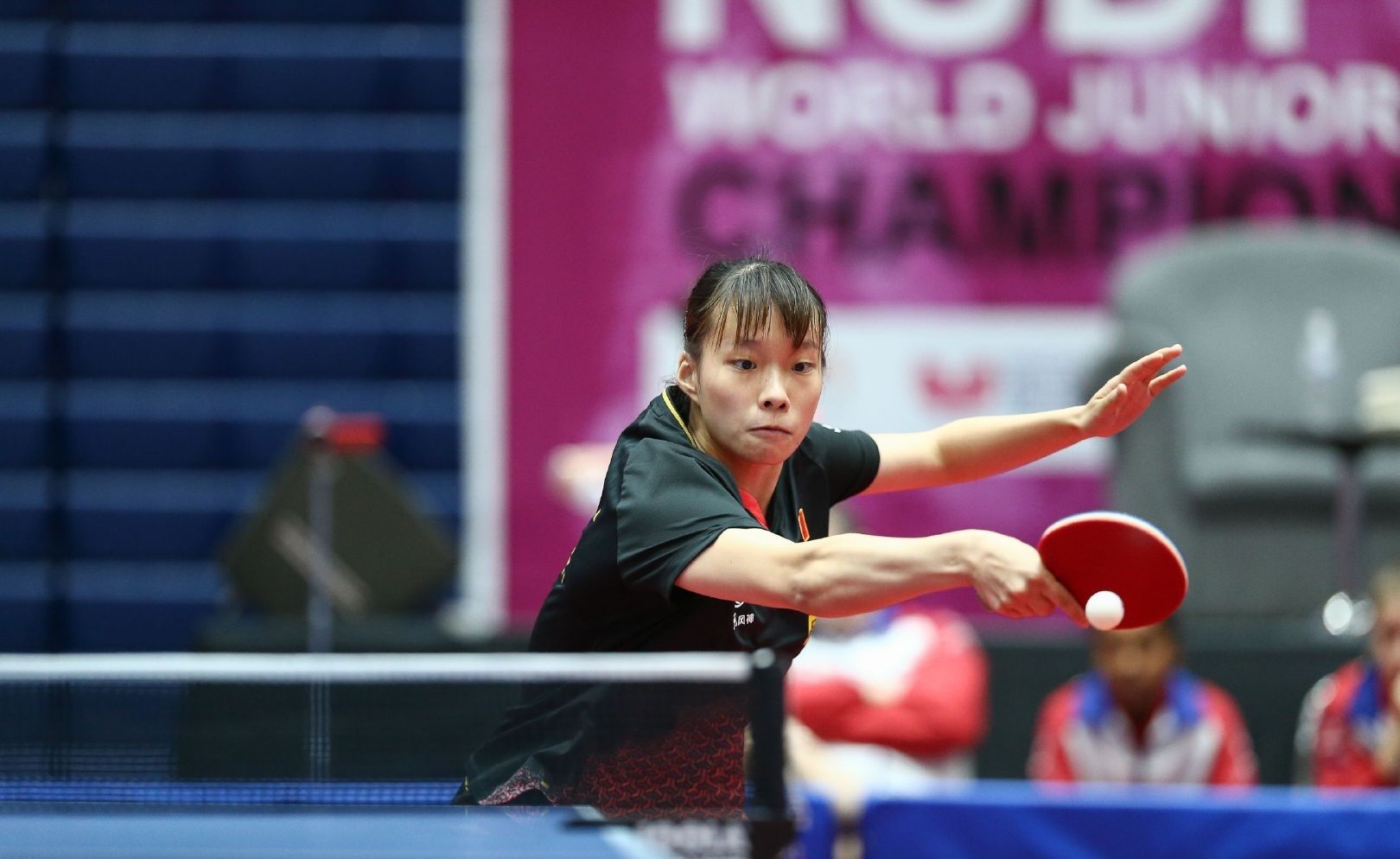 科内的存在 科内的存在