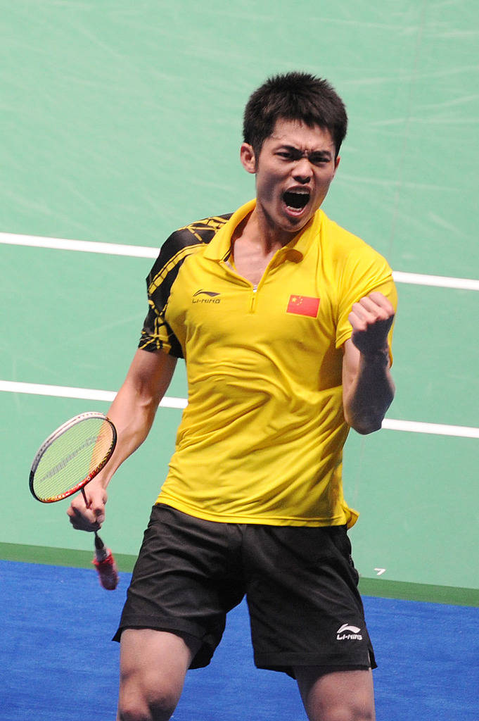 的稳定性和 的稳定性和