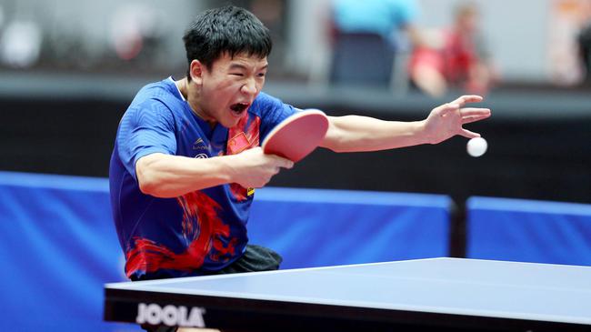 适应性和灵 适应性和灵