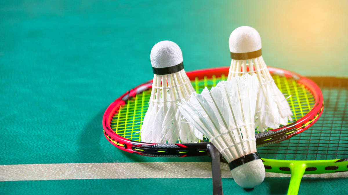 好奇心和探 好奇心和探