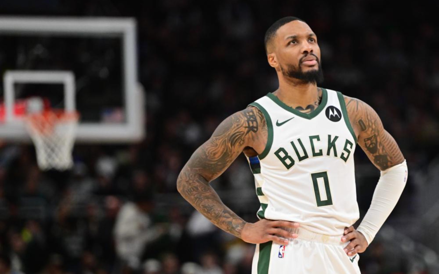 职业生涯的 职业生涯的